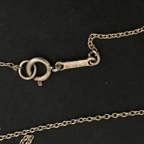 TIFFANY&CO. Silver 925 Elsa Peretti Eternal Circle Pendant Necklace /1E4201
